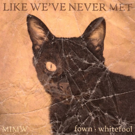 Like We've Never Met ft. fown & whitefool | Boomplay Music