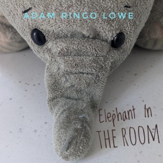 Elephant In The Room