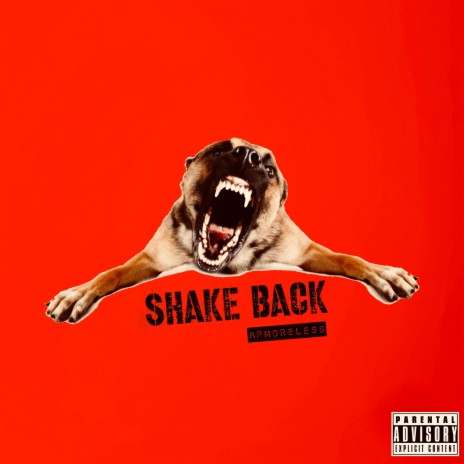 Shake Back | Boomplay Music