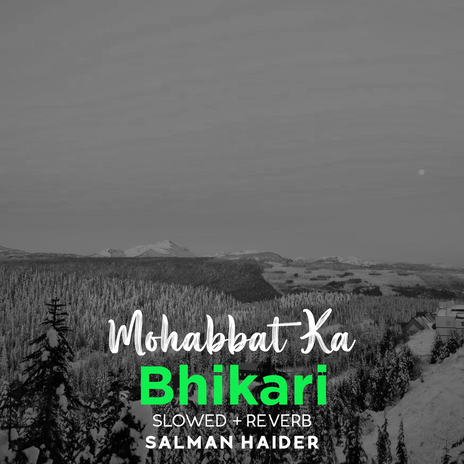 Mohabbat Ka Bhikari Lofi | Boomplay Music