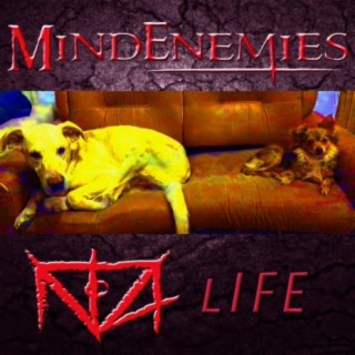 Mind Enemies