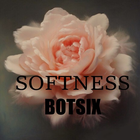 Softness | Boomplay Music