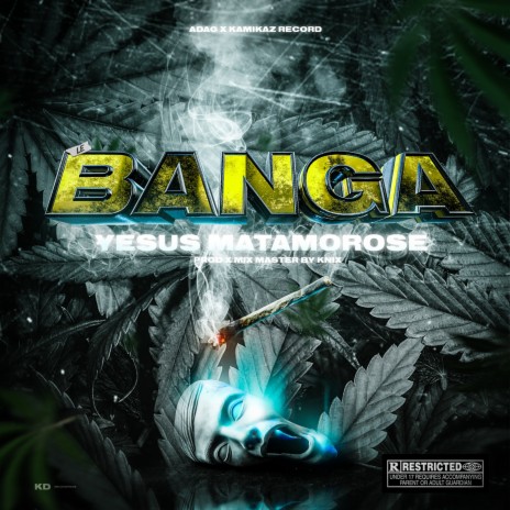 LE BANGA | Boomplay Music