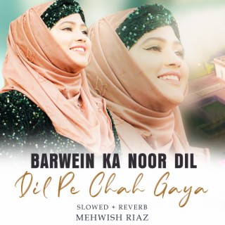 Barwein Ka Noor Dil Pe Chah Gaya Lofi