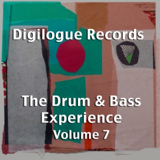The Drum & Bass Experience, Vol. 7