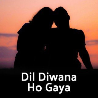 Dil Diwana Ho Gaya