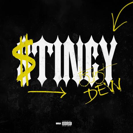 Stingy | Boomplay Music