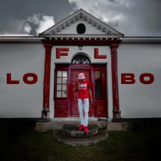 LOBO lyrics | Boomplay Music