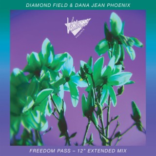 Freedom Pass (12 Extended Mix)