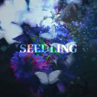 Seedling