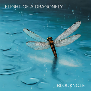 Flight of a Dragonfly