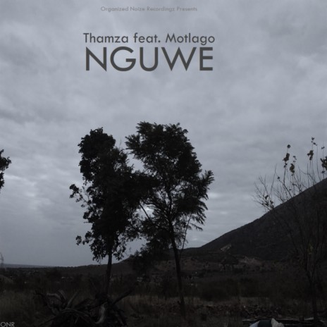 Nguwe (Percussion Mix) ft. Motlago | Boomplay Music
