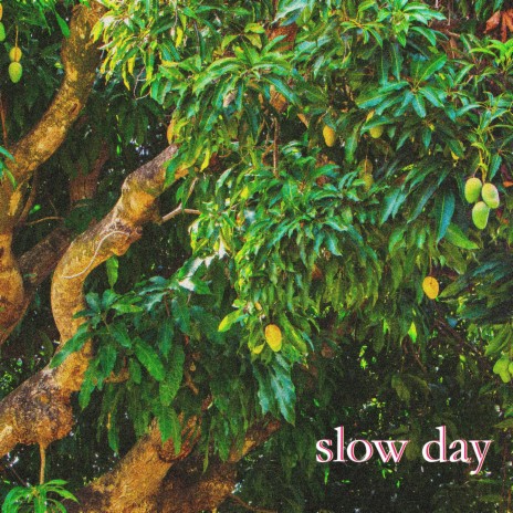 slow day | Boomplay Music