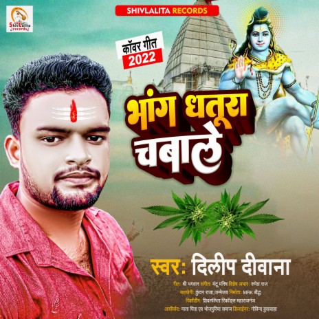 Bhang Dhatura Chabale