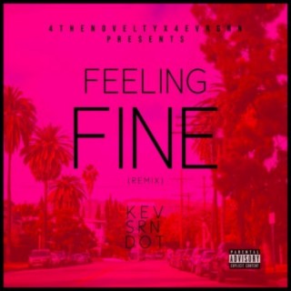 FEELING FINE (feat. SRN & Q DOT)