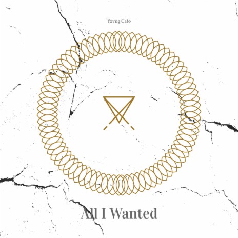 All I Wanted | Boomplay Music