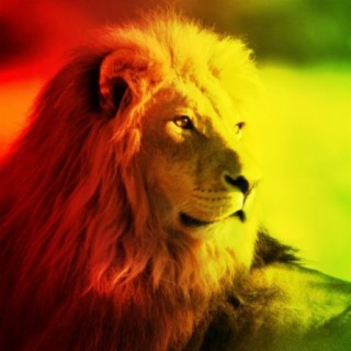 Rastafari Is Not Your Concern (feat. Heather Lioness Lindsey)