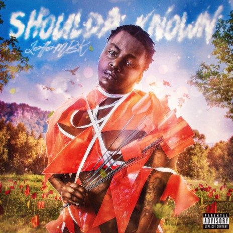 Shoulda Known | Boomplay Music