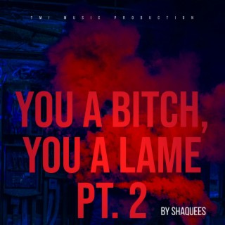 You a Bitch, You a Lame, Pt. 2