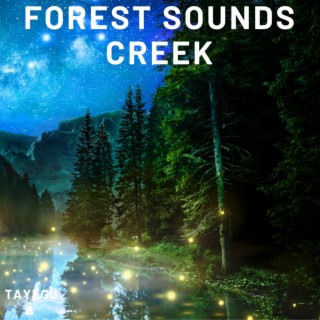 Forest Sounds Creek Stream Water River Camping Frogs and Crickets at Night 1 Hour Relaxing Nature Ambient Yoga Meditation Sounds For Sleeping Relaxation or Studying