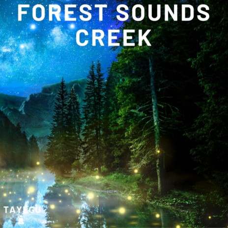 Forest Sounds Creek Stream Water River Camping Frogs and Crickets at Night 1 Hour Relaxing Nature Ambient Yoga Meditation Sounds For Sleeping Relaxation or Studying