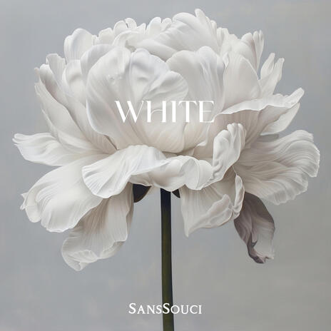 White | Boomplay Music