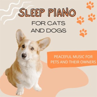 Sleep Piano for Cats and Dogs: Peaceful Music for Pets and their Owners