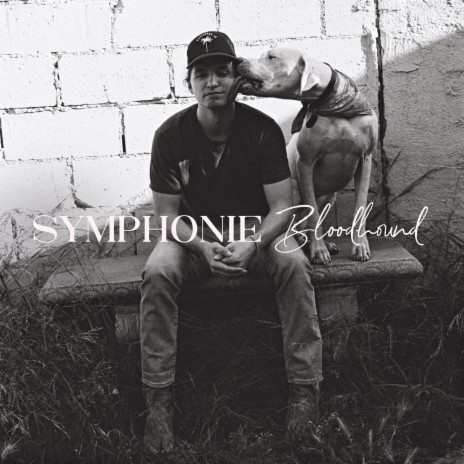 Bloodhound | Boomplay Music