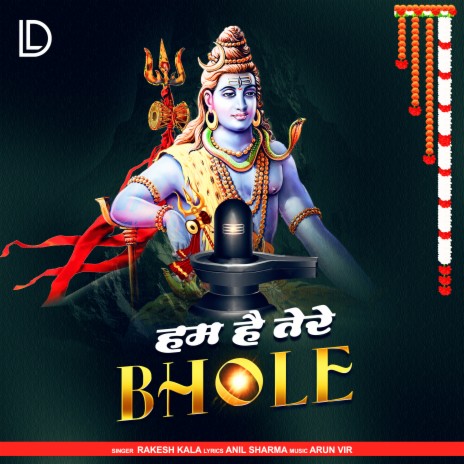 Hum Hai Tere Bhole | Boomplay Music