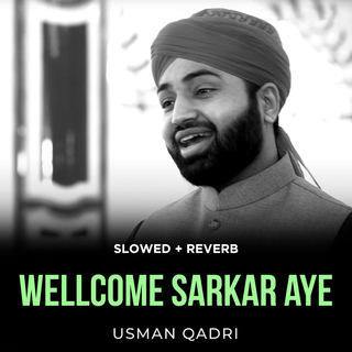 Wellcome Sarkar Aye (Lofi-Mix)