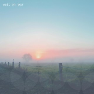 Wait on You ft. Diana Trout lyrics | Boomplay Music