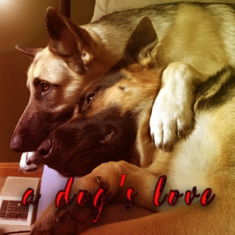 A Dog's Love | Boomplay Music