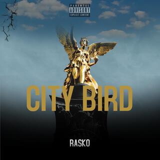 City bird