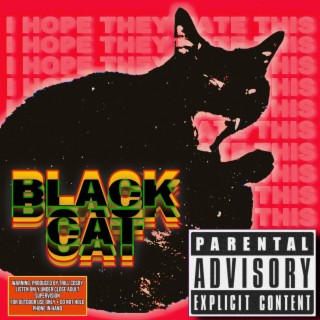 BLACK CAT