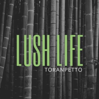 Lush Life