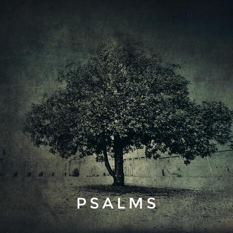 Holy is He (Psalms 96-99) | Boomplay Music