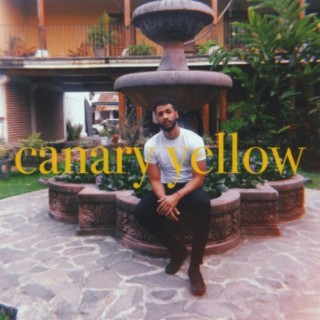 Canary Yellow