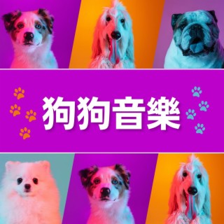 動物治愈音樂