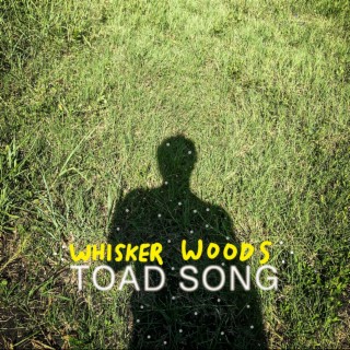 Toad Song