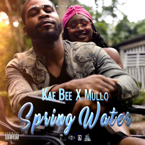 Spring Water ft. Mu | Boomplay Music