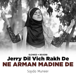 Jerry Dil Vich Rakh De Ne Arman Madine De (Lofi-Mix)