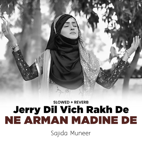 Jerry Dil Vich Rakh De Ne Arman Madine De (Lofi-Mix) | Boomplay Music