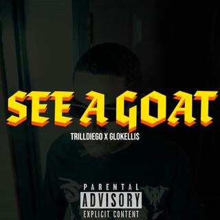 See A Goat