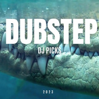 Dubstep DJ Picks 2023