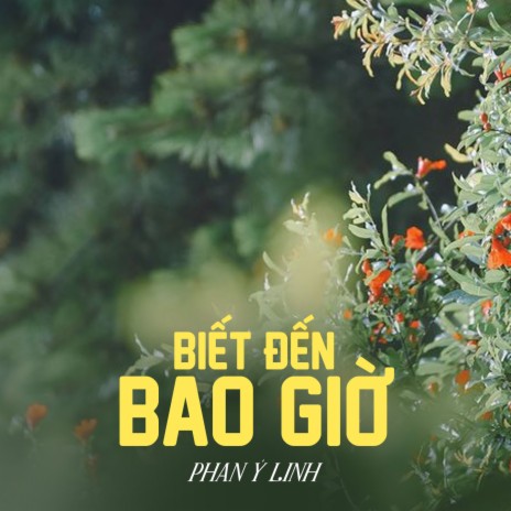 Biết Đến Bao Giờ | Boomplay Music