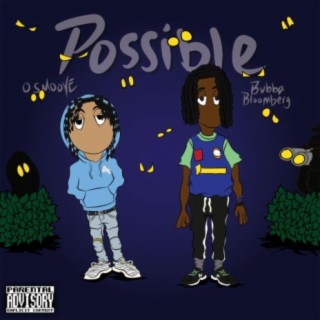 Possible (feat. Bubba Bloomberg)