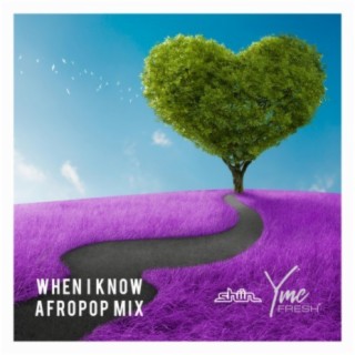 When I Know (feat. Shiin) [Afropop Mix]
