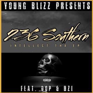 236 Southern Intellect