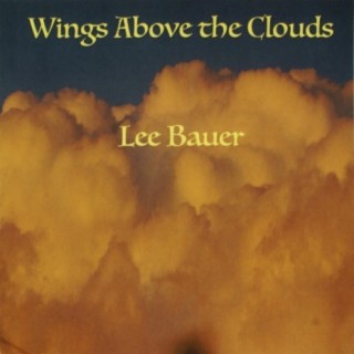 Wings Above the Clouds