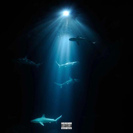 SHARK | Boomplay Music